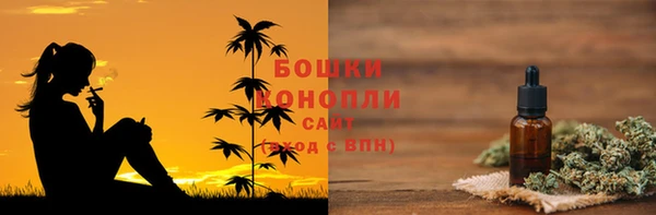 ПСИЛОЦИБИНОВЫЕ ГРИБЫ Заволжье