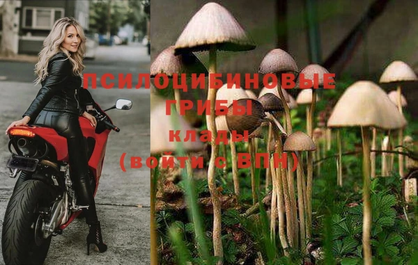 мдма Заволжск