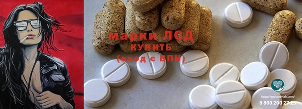 ПСИЛОЦИБИНОВЫЕ ГРИБЫ Заволжье
